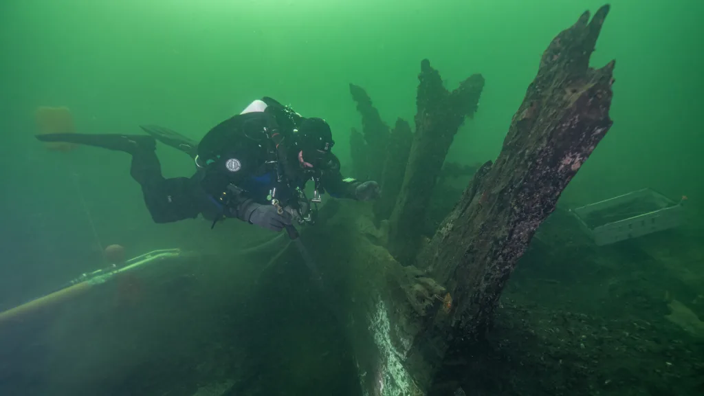 Marina myntfynd_1920x1080