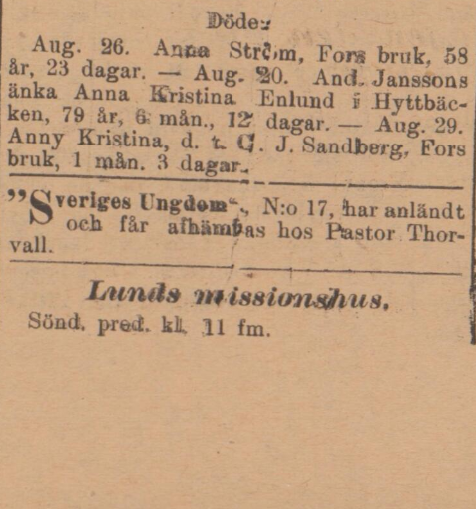 Tidningsurklipp, bland annat med texten: "Döde:Anna Kristina Enlund i Hyttbäcken, 79 år, 6 mån., 12 dagar.